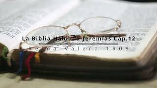 La Biblia Hablada Jeremías Cap 12 [upl. by Llewol832]