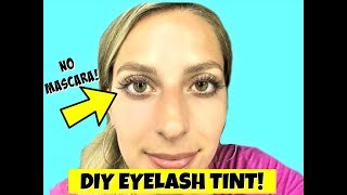 DIY EYELASH TINTING AT HOME Natural Looking Lashes [upl. by Ware]