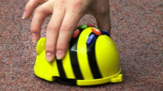 BeeBot® Programmable Floor Robot from TTS Group [upl. by Yttel]