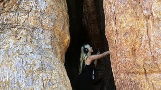 Deya Dova Recording In A 3000 Year Old Tree [upl. by Enram]