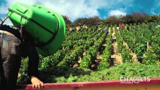 Regardez et écoutez Chablis au fil des saisons [upl. by Nochur]