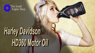 Harley Davidson Motor Oil And Cold Winter Riding [upl. by Naihr]