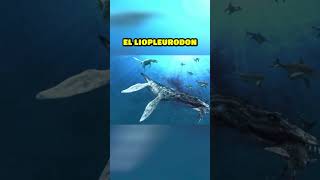 El Gigante Marino Prehistórico  Liopleurodon [upl. by Enelram]