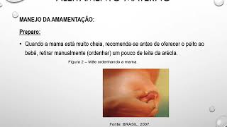 Videoaula PPCSM  Aleitamento materno  Parte I [upl. by Pall]