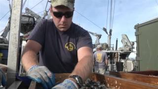 Navy Divers Aboard USNS Grasp Recover Fallen WWII Airmen 2 [upl. by Airamalegna]