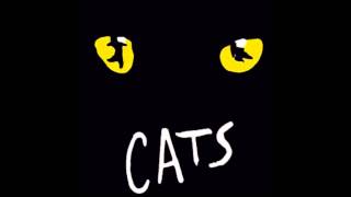 Cats 1 Overture [upl. by Codie]