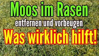 Moos im Rasen das hilft wirklich  Die besten TIPPS gegen MOOS im Rasen entfernen und vorbeugen [upl. by Siuol]