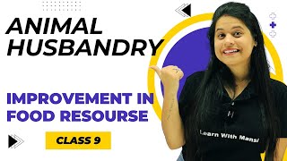 Animal Husbandry  Chapter 12  Improvement in Food Resources  Class 9 Science [upl. by Neda]