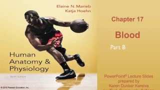 Anatomy and Physiology Chapter 17 Part B lecture Blood [upl. by Lisha]