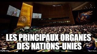 Les principaux organes des NationsUnies [upl. by Kcirdez]