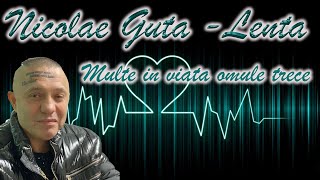 Nicolae Guta  Multe in viata omul trece Lenta Live [upl. by Sicular]