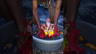 My home ganapati visarjan 🙏 shortsganeshchaturthiganeshvisarjantrendingshortsganapatibappamorya [upl. by Prochoras]