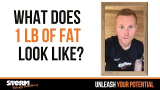 The Reality Behind Losing A Pound Of Body Fat [upl. by Wolliw]