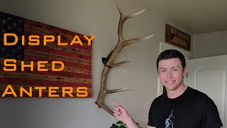 How to Display Shed Antlers [upl. by Ylrad206]