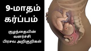 9th month of Pregnancy in Tamil  9th month of Pregnancy symptoms in tamil  month 9  33 to 36 week [upl. by Dodson461]