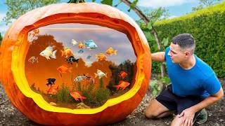 I Turned A Giant Pumpkin Into A Fish Aquarium [upl. by Dukie757]