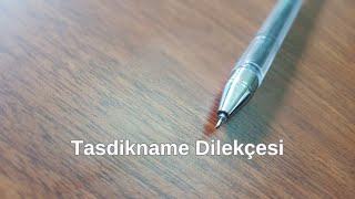 Veli Tasdikname Dilekçesi Örneği  Tasdikname Nasıl Yazılır [upl. by Eidassac]