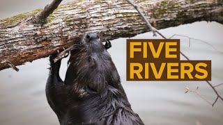 History of Five Rivers Environmental Education Center [upl. by Doralynn832]