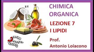 CHIMICA ORGANICA  Lezione 7  I Lipidi [upl. by Hoye252]