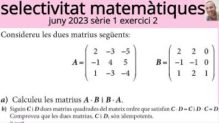 examen PAU selectivitat matemàtiques juny 2023 sèrie 1 exercici 2 matrius [upl. by Eesdnil927]