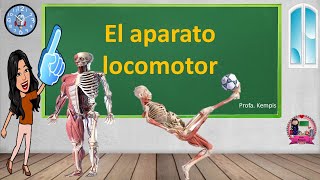 Aparato locomotor [upl. by Annahsor868]