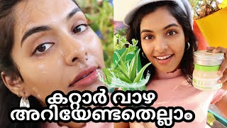 How I use Aloe Vera Gel for skincare and haircareBest 99 pure Aloe vera gelAsvi Malayalam [upl. by Hanshaw]