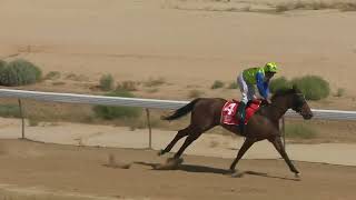 2024 BRC BIRDSVILLE Class 2 [upl. by Calvinna]