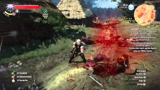 Witcher 3  Brutal Combat Moments [upl. by Anelle]