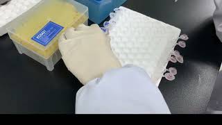 Aspergillus Galactomannan ELISA Detection Kit Operation [upl. by Gross]