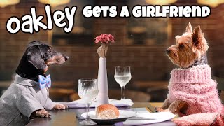 MISSION DATE NIGHT  Funny Wiener Dog Date [upl. by Naujid]