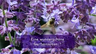 Eine wunderschöne Gartensaison [upl. by Alhak]