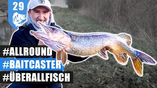 BAITCASTER 1X1 MKlasse ist WELTKLASSE [upl. by Otina451]