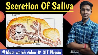 Salivary Secretion GIT Physiology  hindi  Ashish Agrawal [upl. by Enirrok]