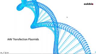 Webinar Standardization and Largescale Manufacturing of Plasmids for Viral Vector Production [upl. by Iives]