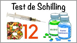 Test de Schilling [upl. by Marutani155]