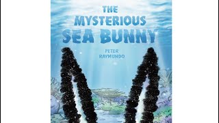 The Mysterious Sea Bunny by Peter Raymundo [upl. by Erny442]