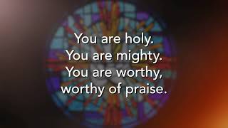 You are Holy Prince of Peace Lyric Video [upl. by Rozelle]