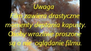 Kapusta kiszona jak zrobić na obiad [upl. by Natehc]