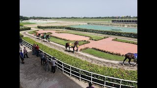 ANALISIS HIPICOS HIPODROMO V CENTENARIO Y CAMARERO PARA EL SABADO 18 DE MAYO 24 [upl. by Ayhdnas]