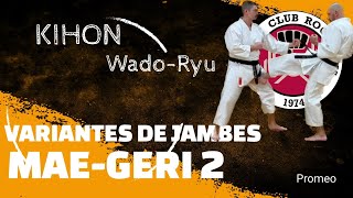 KIHON 11  Techniques de jambes  Coups de pieds  Variantes sur MAE GERI 2  Karaté Wado Ryu [upl. by Cotter]