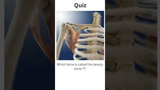 which bone is called beauty bone whichbeautyboneanatomy humanbody shortsfeedshortsquiz [upl. by Celestyn]