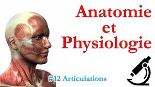 Anatomie et Physiologie 12 Articulations [upl. by Barbaresi]