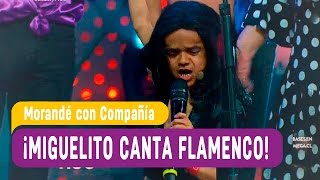 Miguelito canta flamenco  Morandé con Compañía 2016 [upl. by Olaf]