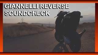 Giannelli Reverse SoundCheck on Gilera Runner [upl. by Eninotna]