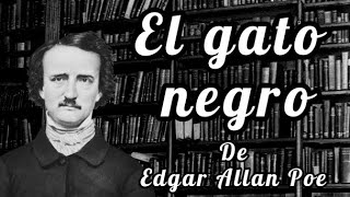 El gato negro Edgar Allan Poe Audiolibro [upl. by Ayahsey]