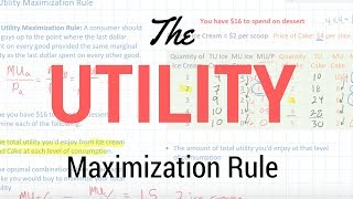 The Utility Maximization Rule [upl. by Somerset]