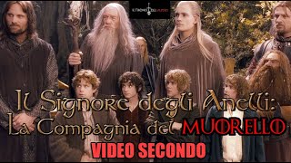 RIASSUNTO ACCURATISSIMO IL SIGNORE DEGLI ANELLI LA COMPAGNIA DEL MUORELLO  VIDEO SECONDO [upl. by Annahahs]