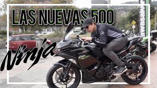 NUEVAS Kawasaki Z500 y Ninja 500  Precio y Ficha Técnica  Cam Daza [upl. by Nuawaj]