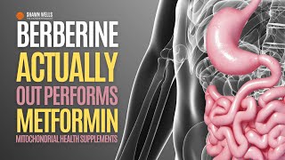 Berberine Actually Out Performs Metformin [upl. by Lacram]