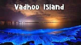 Vadhoo Island Maldives  Place to Visit in Maldives [upl. by Hylton]